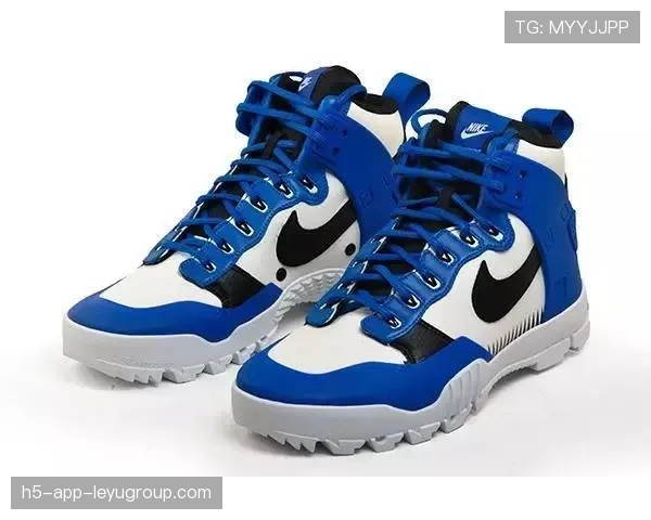 体育鞋类技术升级推动舒适度与性能双提升，体育穿的鞋